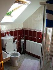 Badkamer - Acoose House B&B Kerry, Ierland