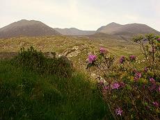 Carrauntoohill Mountain Co.Kerry - der Klick aufs Bild öffnet eine Vergrösserung