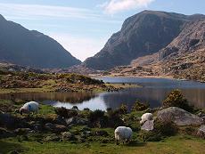 Gap of Dunloe - der Klick aufs Bild öffnet eine Vergrösserung